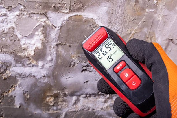 Best Mold Removal Company Near Me  in Poth, TX